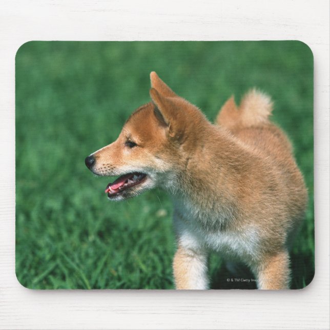 Japanese Midget Shiba Mouse Pad (Front)