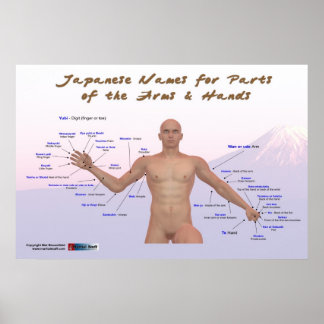 Japanese names for parts of the arms & hands poster