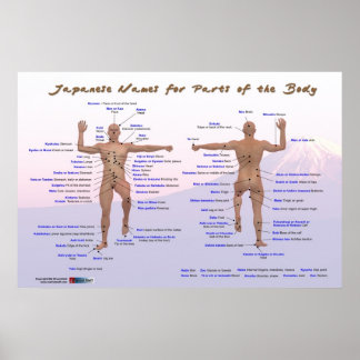 Japanese Names for Parts of the Body Poster