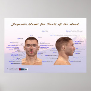 Japanese Names for Parts of the Head Poster