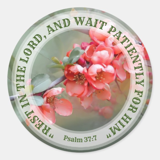 Japanese Ornamental Quince with Bible quotation Classic Round Sticker (Front)
