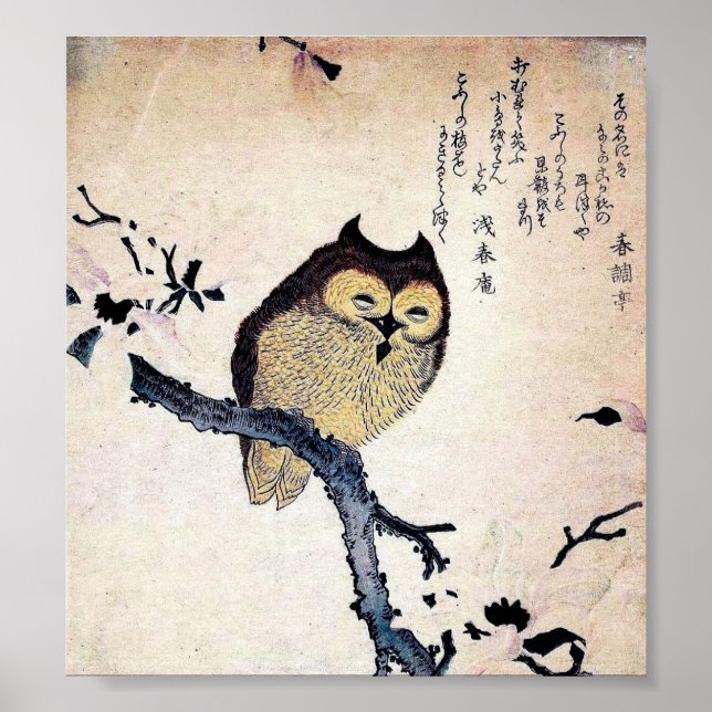 Japanese Owl Print Poster (Front)