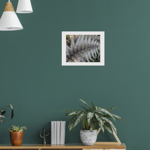 Japanese Painted Fern Floral Photographic Poster