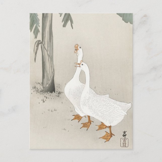 Japanese painting by ohara koson,vintage小原古邨の日本画 postcard (Front)
