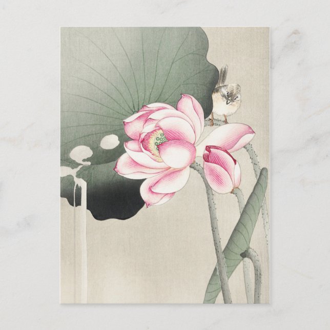 Japanese painting by ohara koson,vintage小原古邨の日本画 postcard (Front)