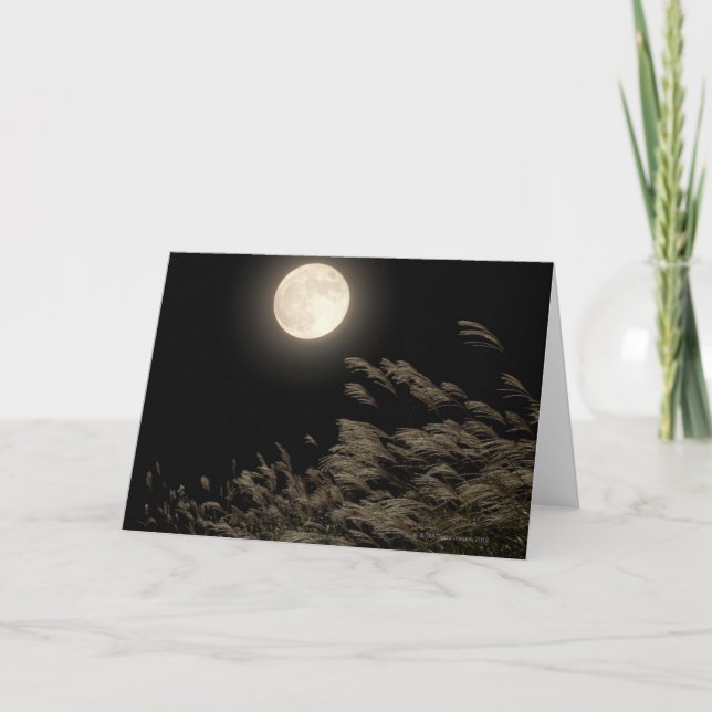 Japanese Pampas Grass Card (Front)