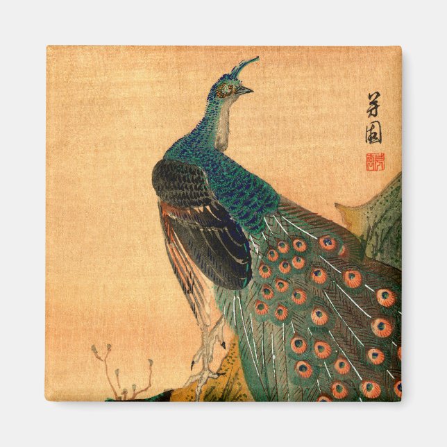 Japanese Peacock no.2 Magnet (Front)