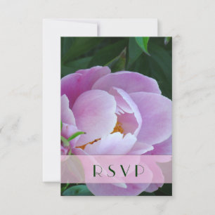 Japanese Peony RSVP Announcement