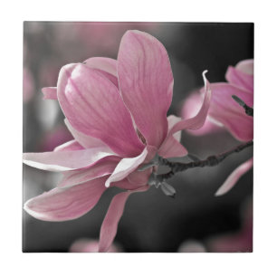 Japanese Pink Saucer Magnolia Ceramic Tile