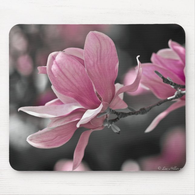 Japanese Pink Saucer Magnolia Mouse Pad (Front)