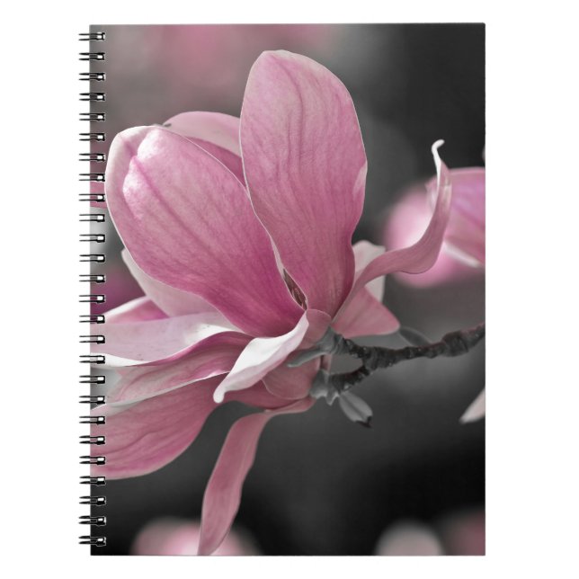 Japanese Pink Saucer Magnolia Notebook (Front)