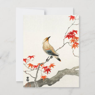 Japanese plague bird Ohara Koson Vintage Art Card