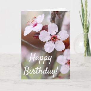 Japanese Plum Flowers Birthday Blessings Card