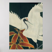 Japanese Red Crowned Crane Vintage Fine Art