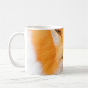 Japanese red fox resting, sleeping and playing in coffee mug