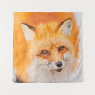 Japanese red fox resting, sleeping and playing in tapestry