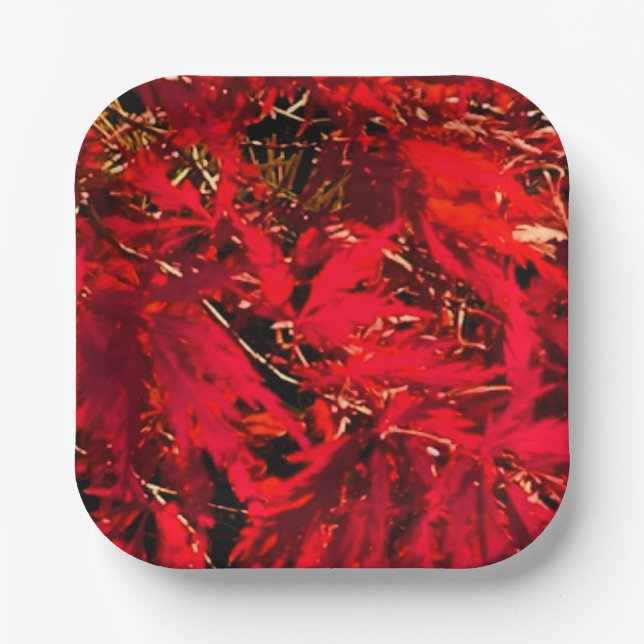                  Japanese red maple (Acer)    Paper Plate (Front)