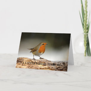 Japanese Robin Birthday Card