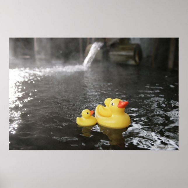 Japanese Rubber Duckies Poster (Front)