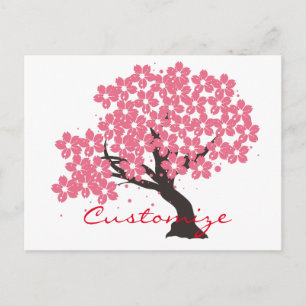 Japanese Sakura Cherry Blossoms Thunder_Cove Postcard