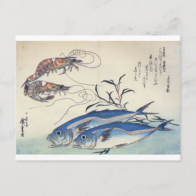 Japanese Sea Life Painting circa 1800's Postcard (Front)