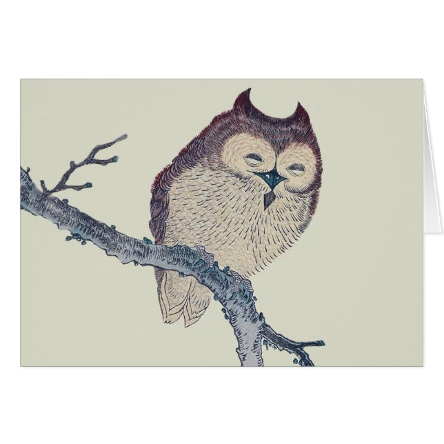 Japanese Sleeping Owl Night Artwork (Front Horizontal)