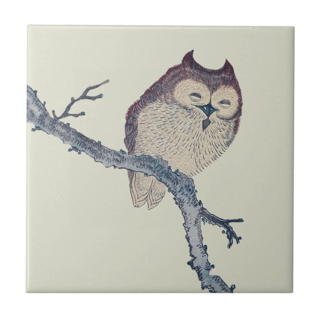 Japanese Sleeping Owl Night Artwork Ceramic Tile (Front)