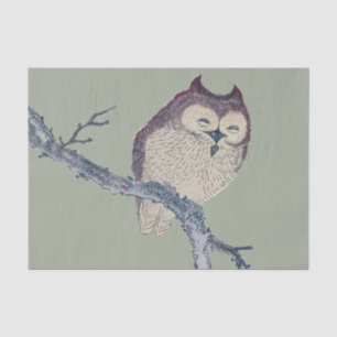 Japanese Sleeping Owl Night Artwork Tissue Paper