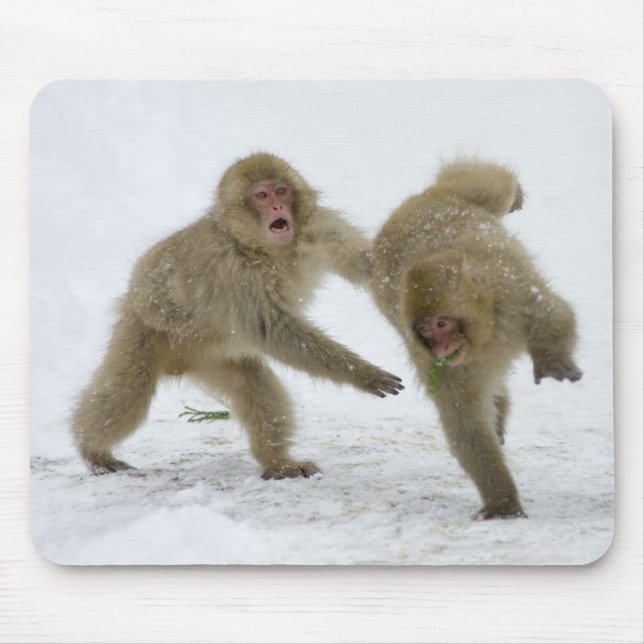 Japanese Snow Monkey cubs playing on snow Mouse Pad (Front)