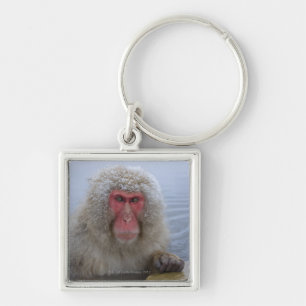 Japanese Snow Monkey in hotspring Key Ring
