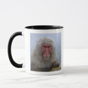 Japanese Snow Monkey in hotspring Mug