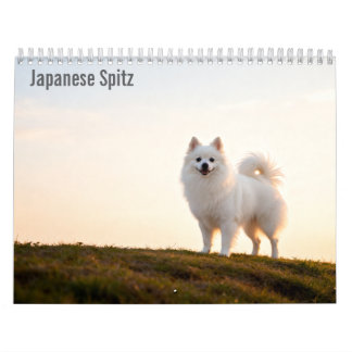Japanese Spitz 2027 Wall calendar