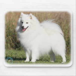 Japanese Spitz 9Y576D-261 Mouse Pad