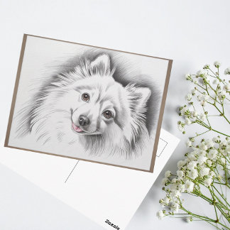 Japanese Spitz Dog Breed Sketch Illustration Postcard
