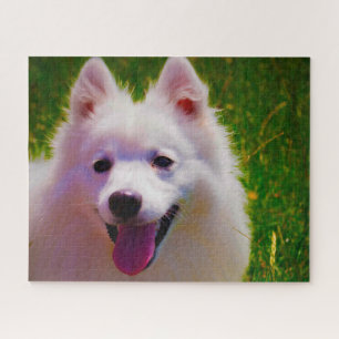 Japanese Spitz Dog. Jigsaw Puzzle