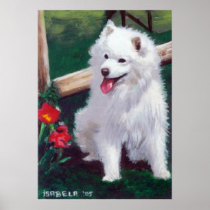 Japanese Spitz Dog Portrait Poster