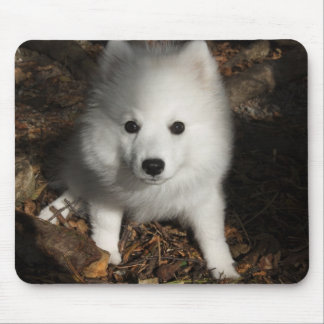 Japanese Spitz puppy Mouse Pad