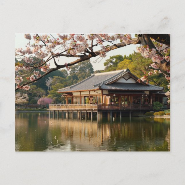 Japanese spring scene with pond and cherry blossom postcard (Front)