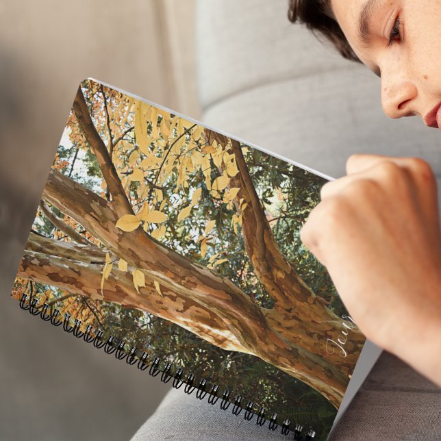 Japanese Stewartia Tree Botanical Photo Notebook (In Situ)