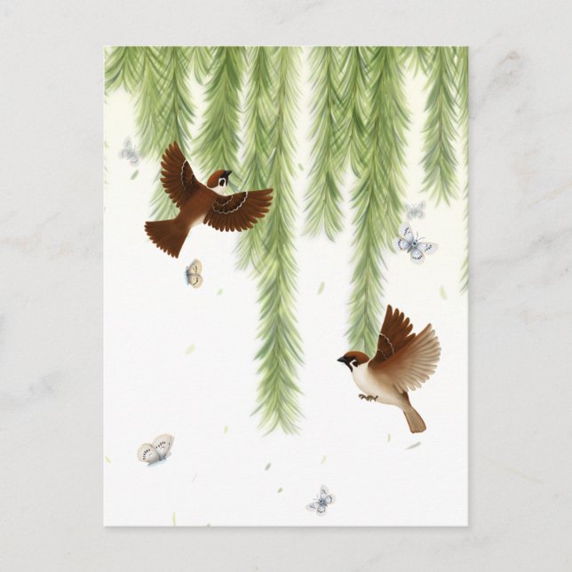 Japanese Tree Sparrows Under a Weeping Willow Postcard (Front)