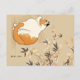 Japanese Ukiyoe Cat Postcard