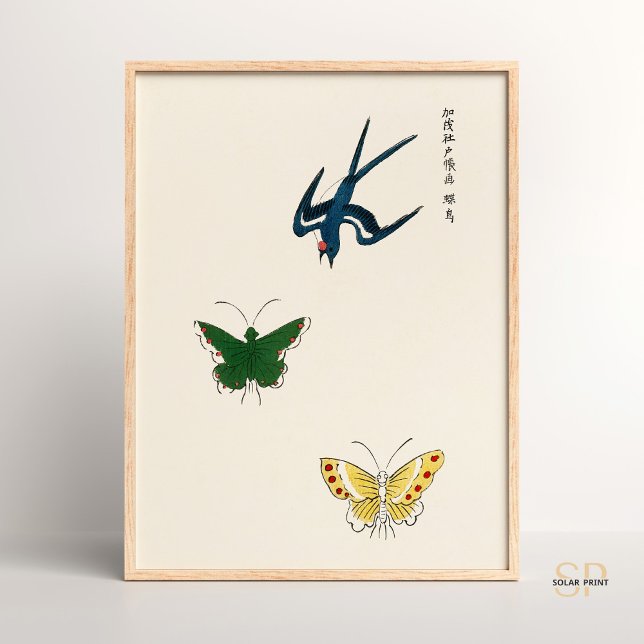 Japanese Vintage Butterflies Yatsuo No Tsubaki  Poster (Creator Uploaded)