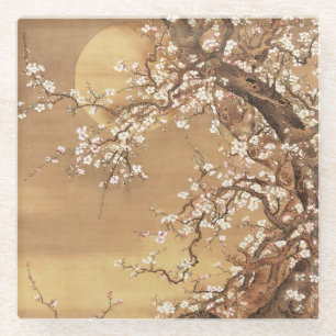 Japanese vintage plum blossoms in moonlight glass coaster