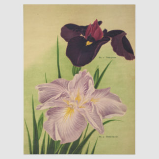 Japanese Water Iris Vintage Botanical Catalog Tissue Paper