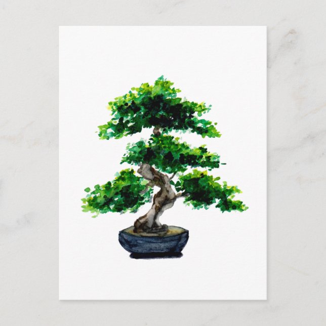 Japanese Watercolor Bonsai Tree Postcard (Front)