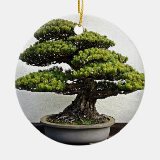 Japanese White Pine Bonsai Ceramic Tree Decoration