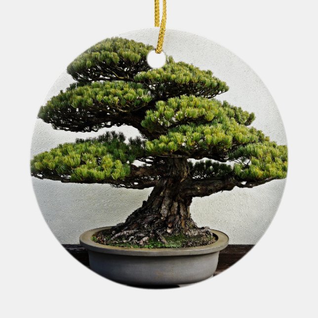Japanese White Pine Bonsai Ceramic Tree Decoration (Front)