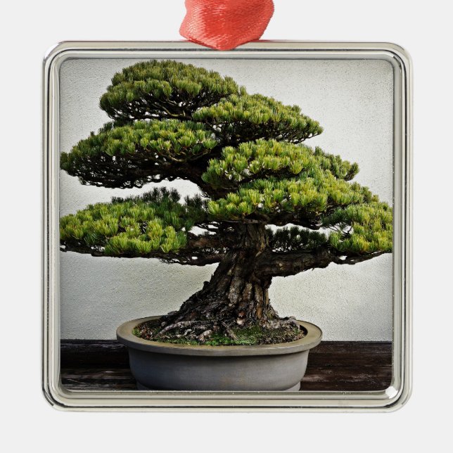 Japanese White Pine Bonsai Metal Ornament (Front)
