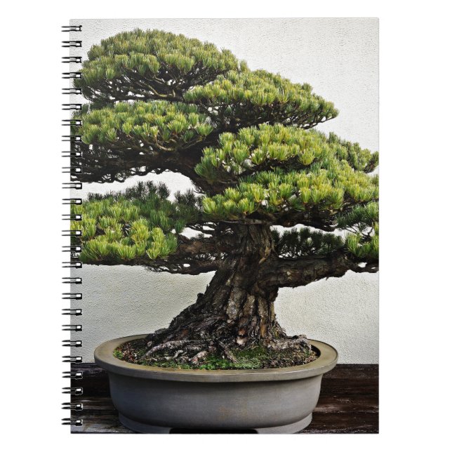 Japanese White Pine Bonsai Notebook (Front)