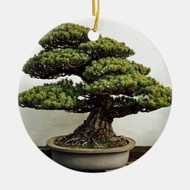Japanese White Pine Bonsai Tree Ceramic Ornament (Front)